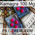 Kamagra 100 Mg 14